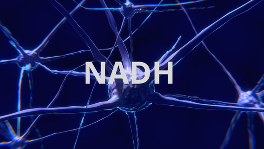 🌿 NADH: la molécula de la energía y la juventud celular