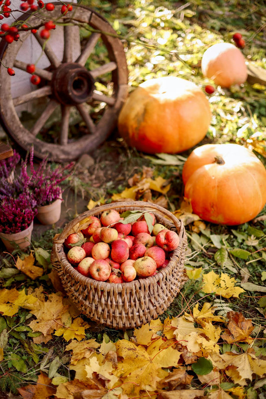La importancia de consumir frutas y verduras locales y de temporada