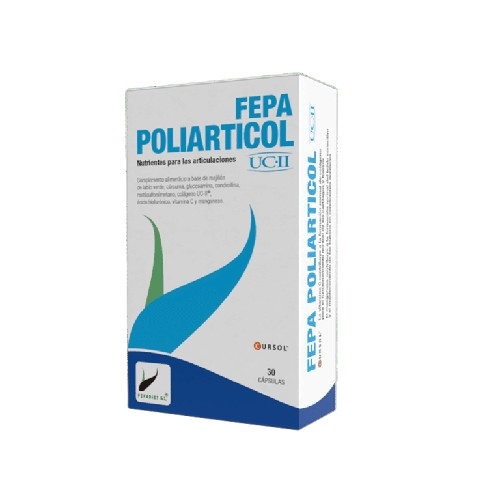 SALUD WHEY ESSENTIAL 80