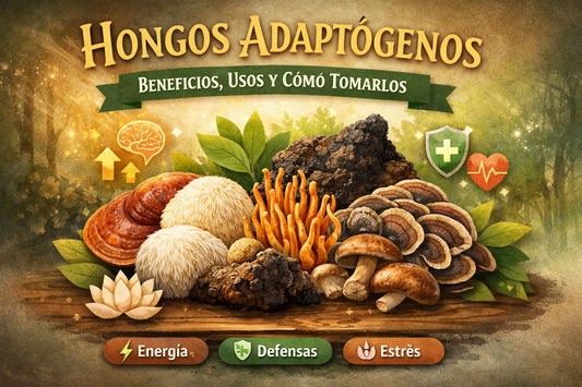 Hongos Adaptógenos: Guía Completa para Energía, Inmunidad y Bienestar Natural
